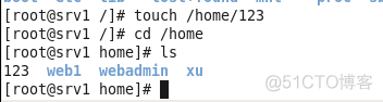 linux常用文件命令_参数说明_06