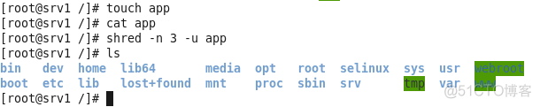 linux常用文件命令_参数说明_28