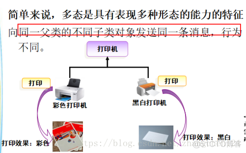 java宠物店多态源代码_java 7_02