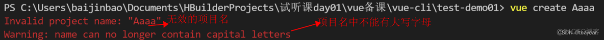 Vue第七章：项目环境配置及单文件组件 vue脚手_webpack_05
