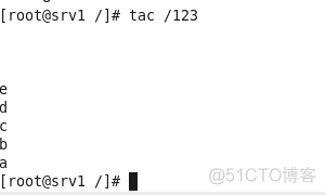 linux常用文件命令_参数说明_35