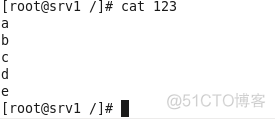 linux常用文件命令_参数说明_31