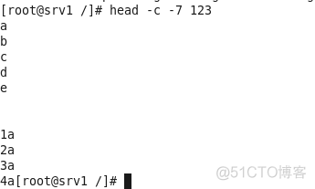 linux常用文件命令_linux_46