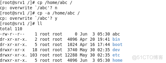 linux常用文件命令_参数说明_17