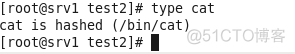 linux常用文件命令_参数说明_75
