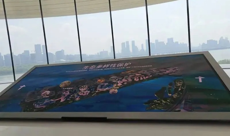 企鹅岛走一圈感受：基建很成熟，到处是机会