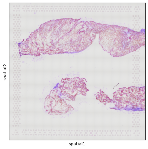 No description has been provided for this image