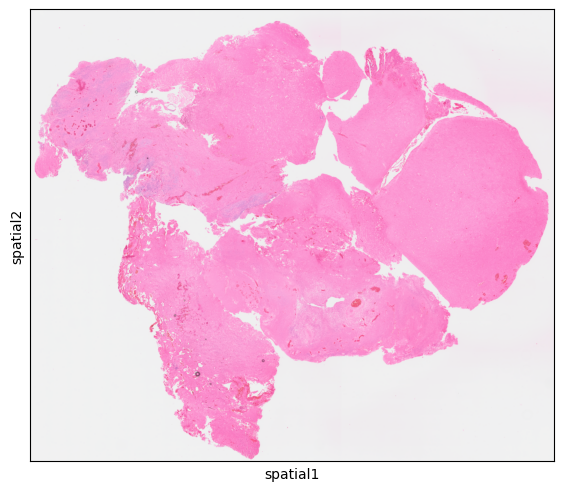 No description has been provided for this image