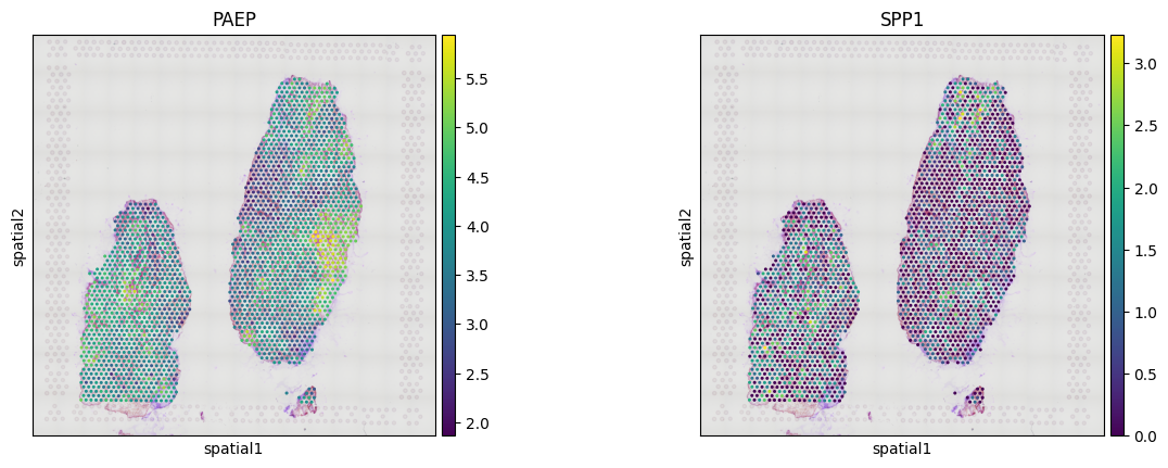 No description has been provided for this image