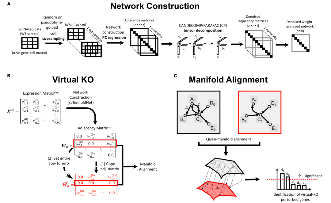 Overview of scTenifoldKnk workflow