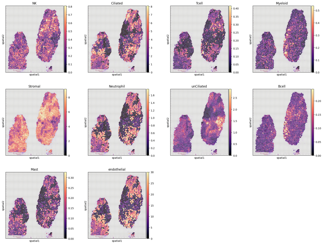 No description has been provided for this image