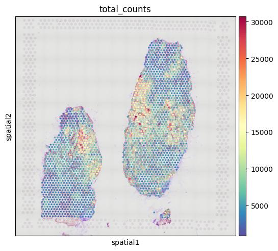 No description has been provided for this image