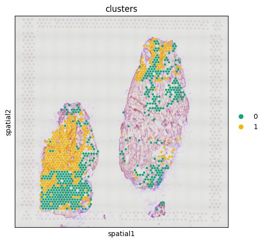 No description has been provided for this image