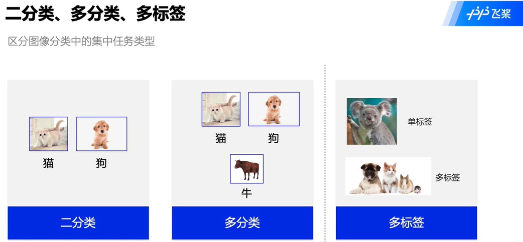 【深度学习项目二】卷积神经网络LeNet实现minst数字识别