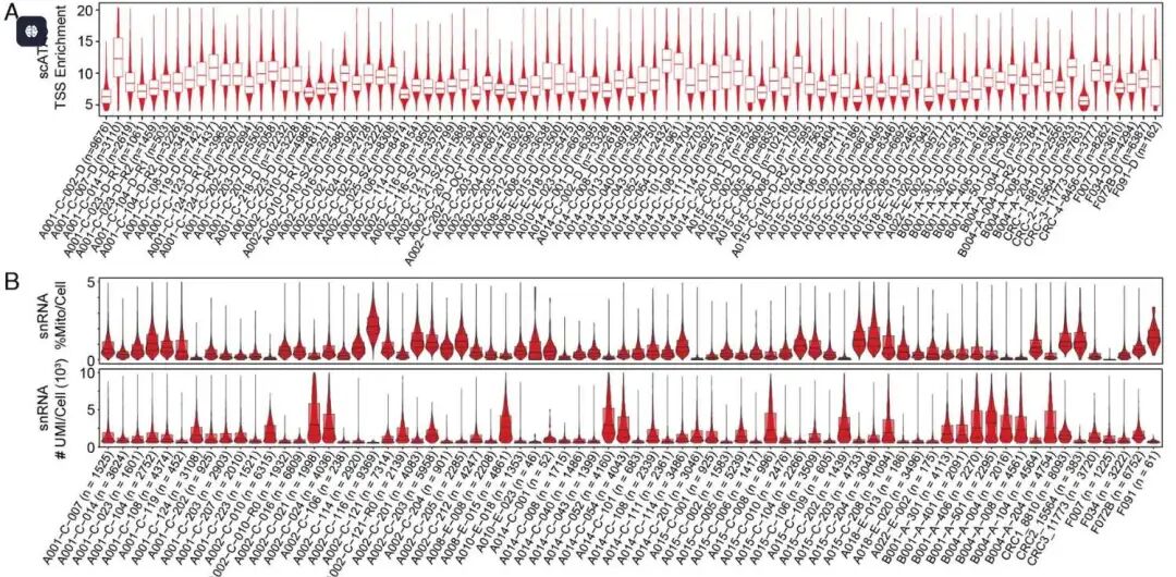 TSS\线粒体\UMI质控