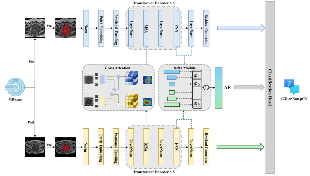 Flowchart of MR-DELTAnet