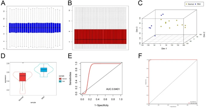 糖酵解评分的诊断效力验证。（A） 显示数据归一化前基因表达矩阵的箱型图。（B）数据归一化后基因表达矩阵的箱型图。（C）3D PCA图，显示对照组与IPAH组间单个样品的分离情况。（D） IPAH组的糖酵解分数显著更高。（E，F） GSE113439和GSE53408数据集中糖酵解分数的ROC曲线