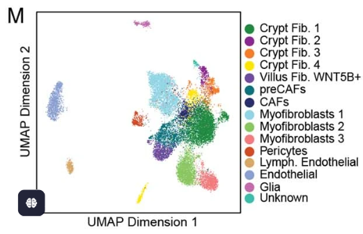 基质细胞的harmony整合