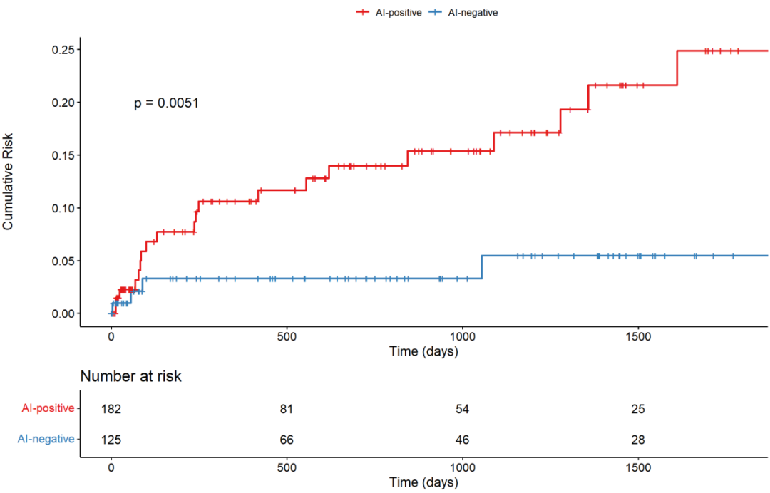 图3.复发症状性缺血性卒中的卡普兰-迈耶分析卡普兰-迈耶曲线显示无症状队列中复发症状性缺血性卒中的累积发病率。人工智能阳性组（红线），定义为人工智能检测到的新无症状脑梗死患者，与人工智能阴性组（蓝线）（对数秩检验，p=0.0051）相比，累积卒中发病率明显更高。