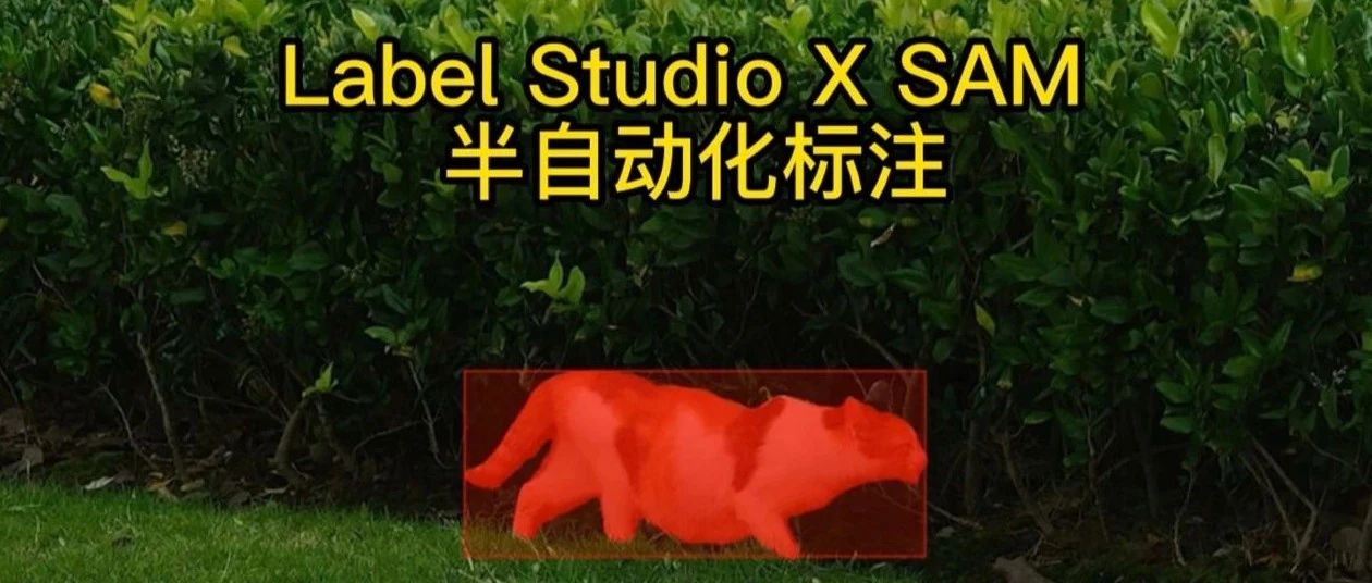 基于 SAM 的半自动标注新方法，手把手教会你！