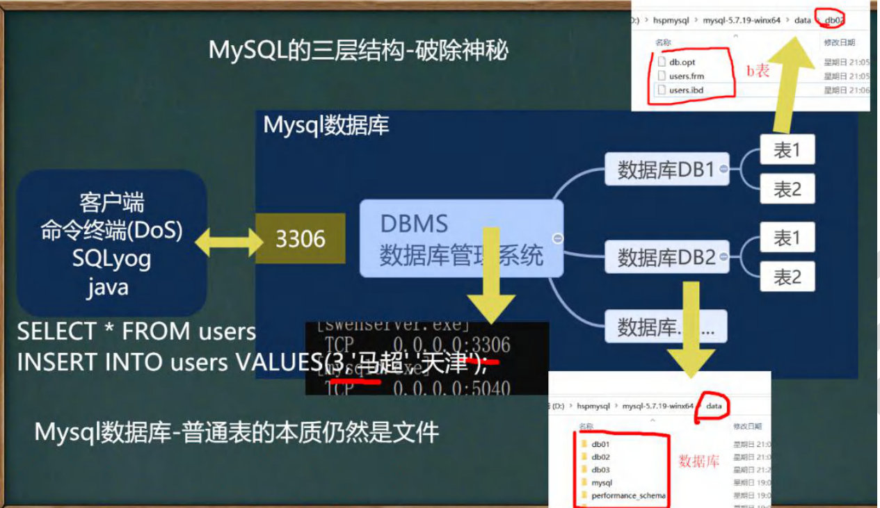 MySQL-简介