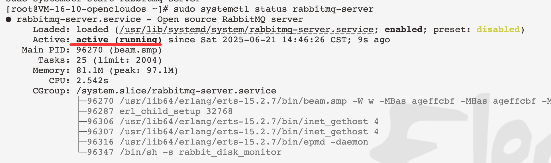 RabbitMQ 正在运行中