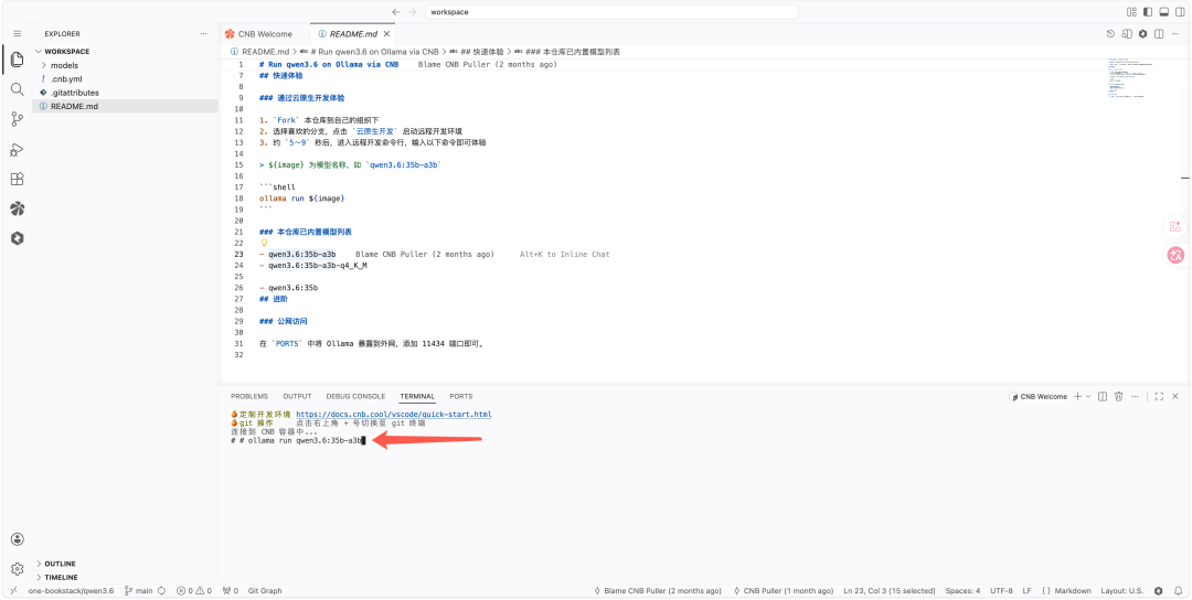 终端运行 ollama run 命令截图