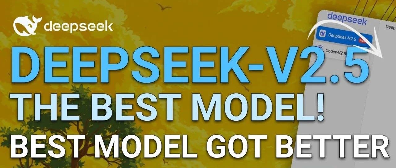 Deep Seek V2.5：新一代上线！结合编码与通用能力，超越前作