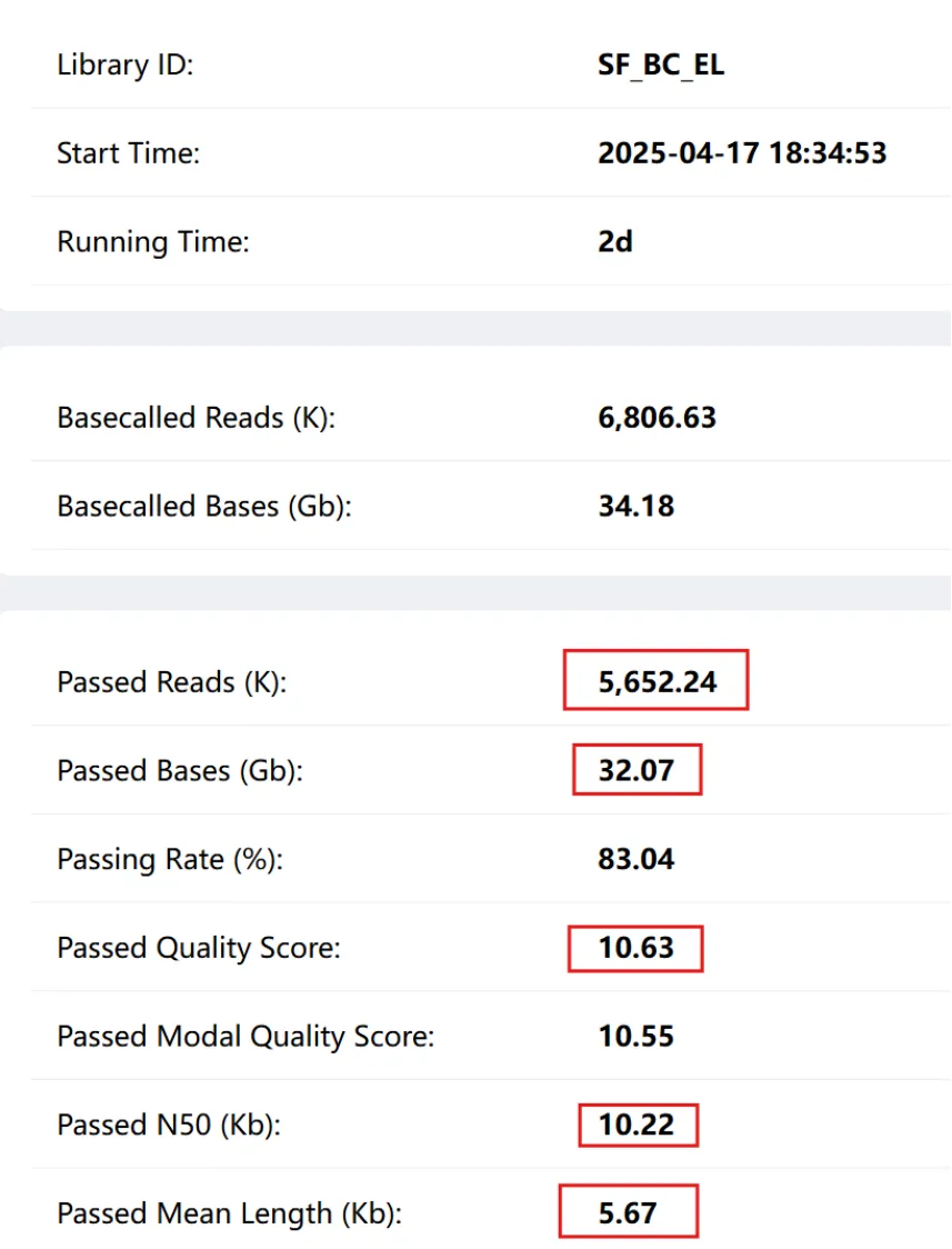 图3. 细菌基因组DNA琼脂糖凝胶电泳结果