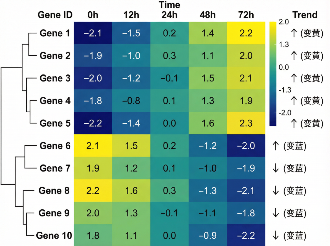 Bioinformatics heatmap style. Gene expression data visualization. Color gradient from dark blue (low) to bright yellow (high). Hierarchical clustering tree on the left. Clean layout, high information density but readable. Cell Systems journal style.”(生物信息学热力图风格。基因表达数据可视化。颜色渐变从深蓝(低)到亮黄(高)。左侧有层级聚类树。布局干净,信息密度高但可读。Cell Systems 期刊风格。)