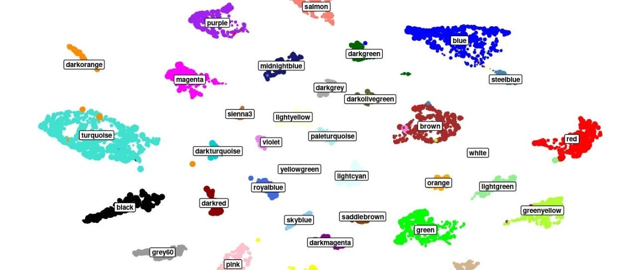 🤩 hdWGCNA | 单细胞数据怎么做WGCNA呢！？（三）（pseudobulk data）