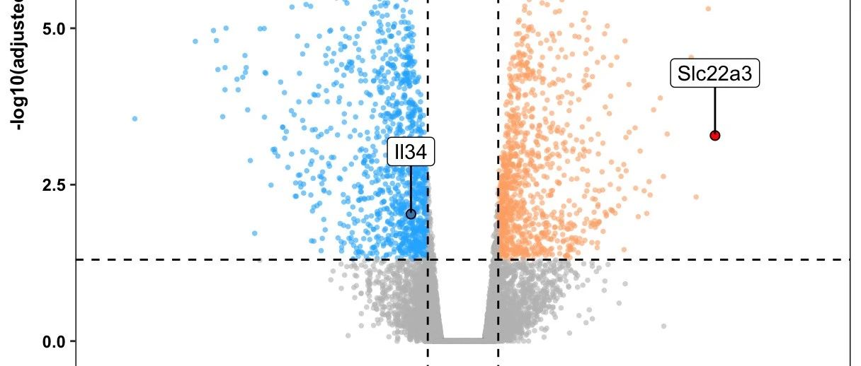 详谈如何使用ggplot2绘制火山图