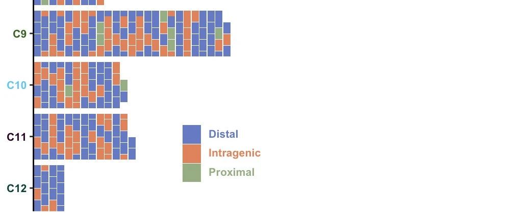 ggplot2自定义各类文本颜色