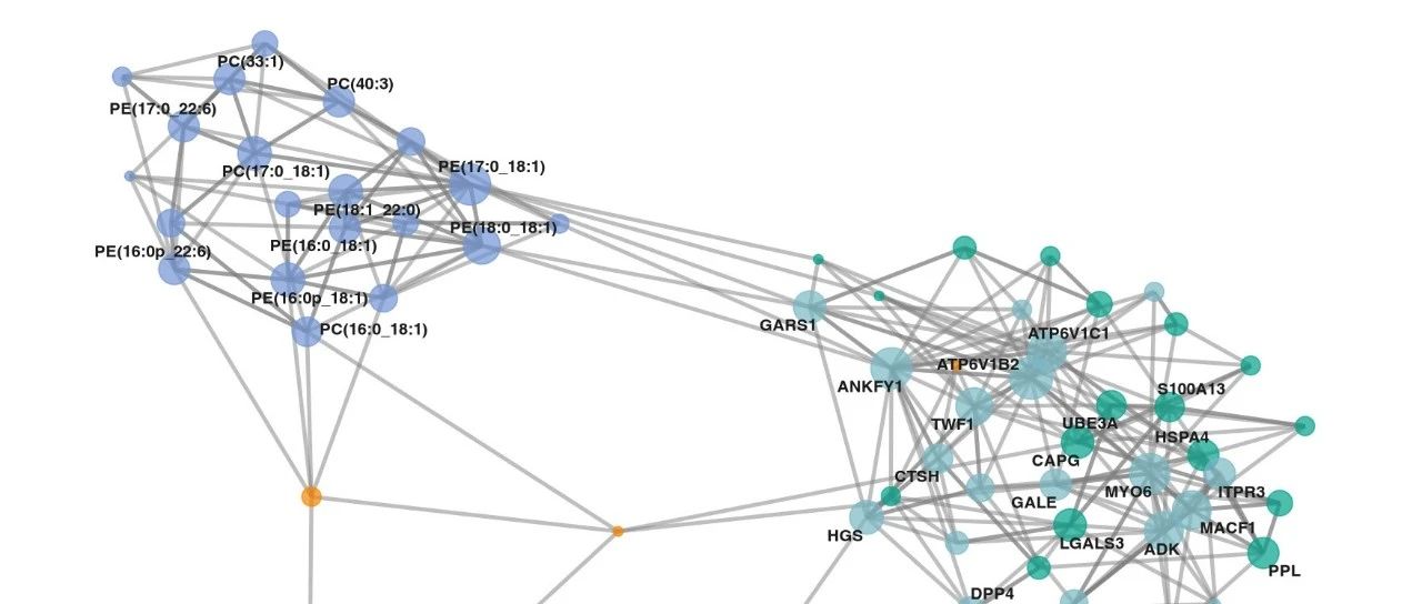 ggraph网络数据可视化分析