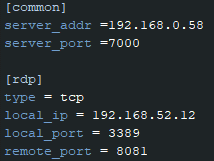 图1-4 frpc.ini配置文件