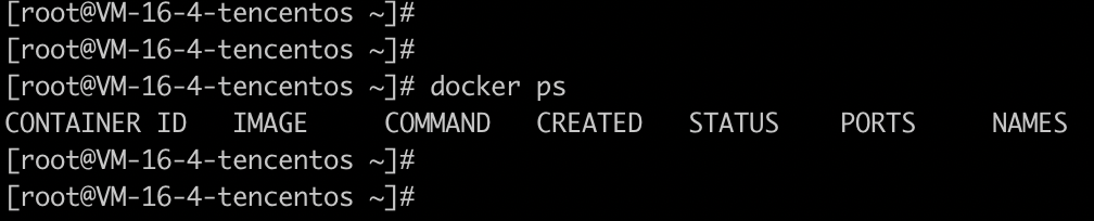 docker ps