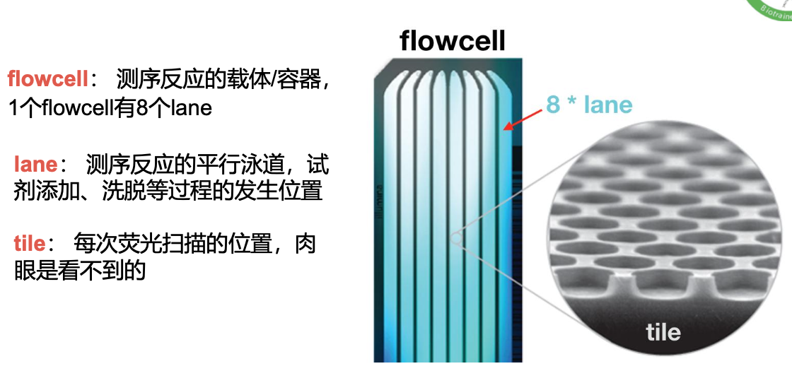 flowcell