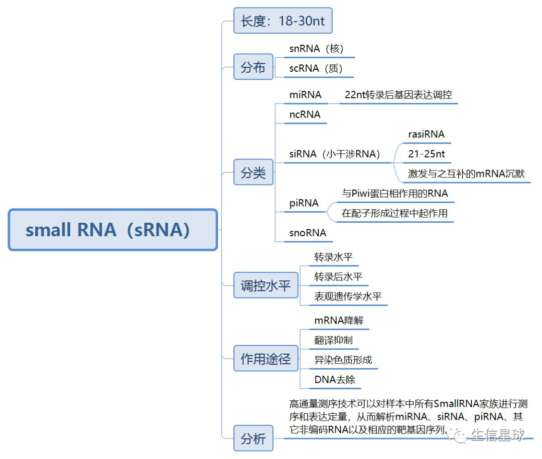 sRNA的特征