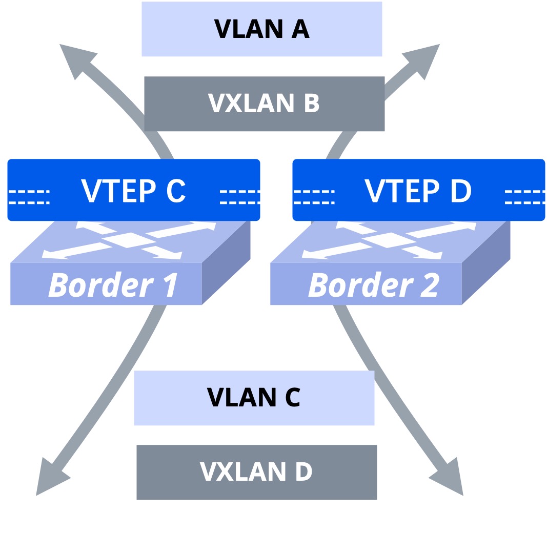 实现二：Border区分VTEP方式