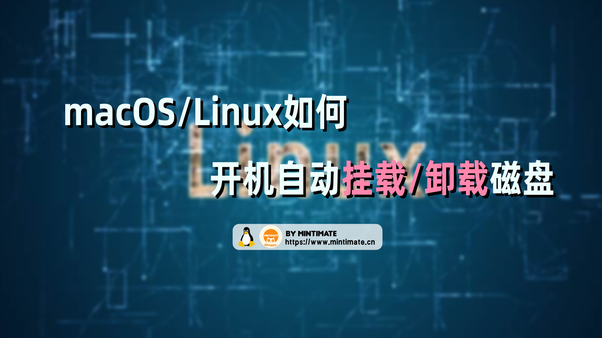 详解：macOS/Linux如何挂载磁盘？如何开机自动挂载/卸载磁盘？
