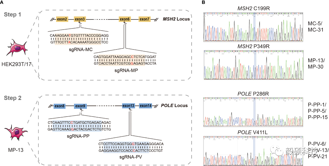 Sentieon | 每周文献-Tumor Sequencing（肿瘤测序）-第三期