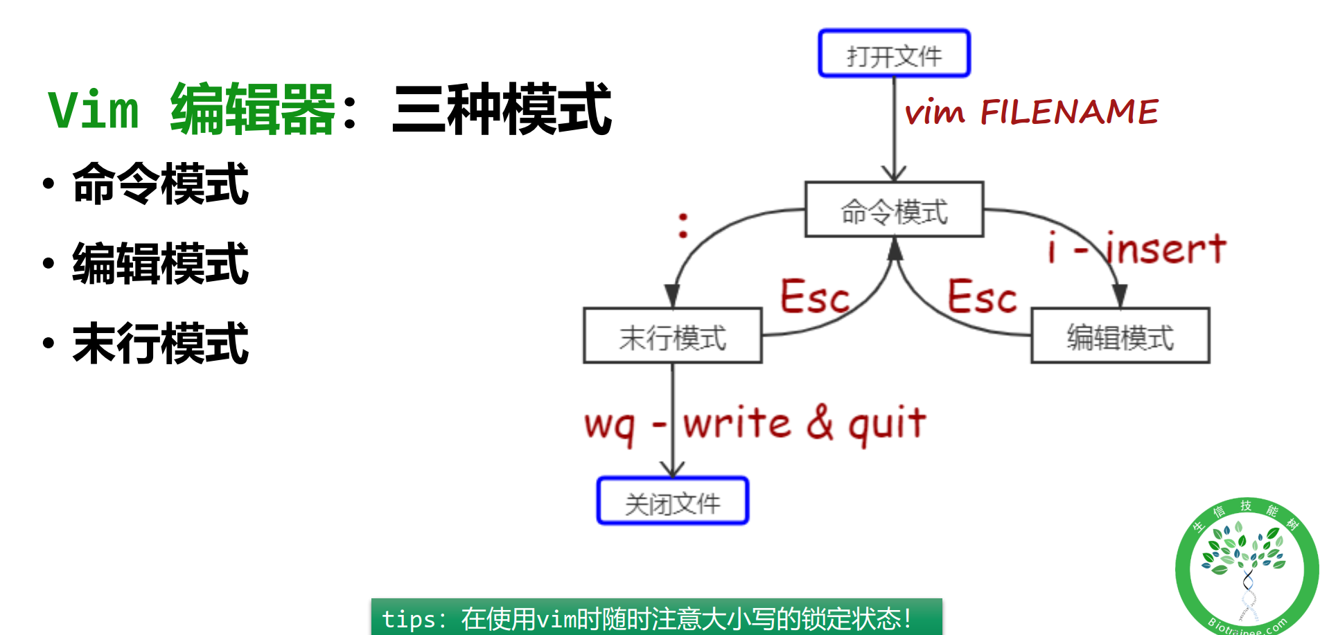 vim编辑器的是三种模式