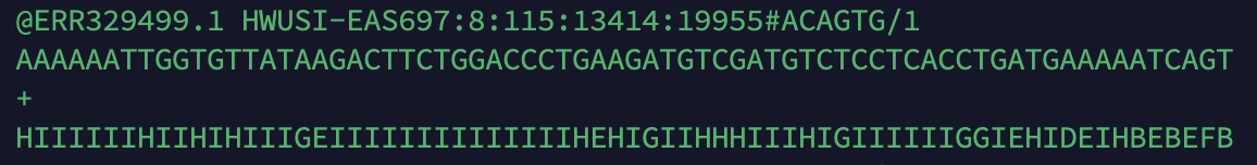 一个fq格式的核酸序列