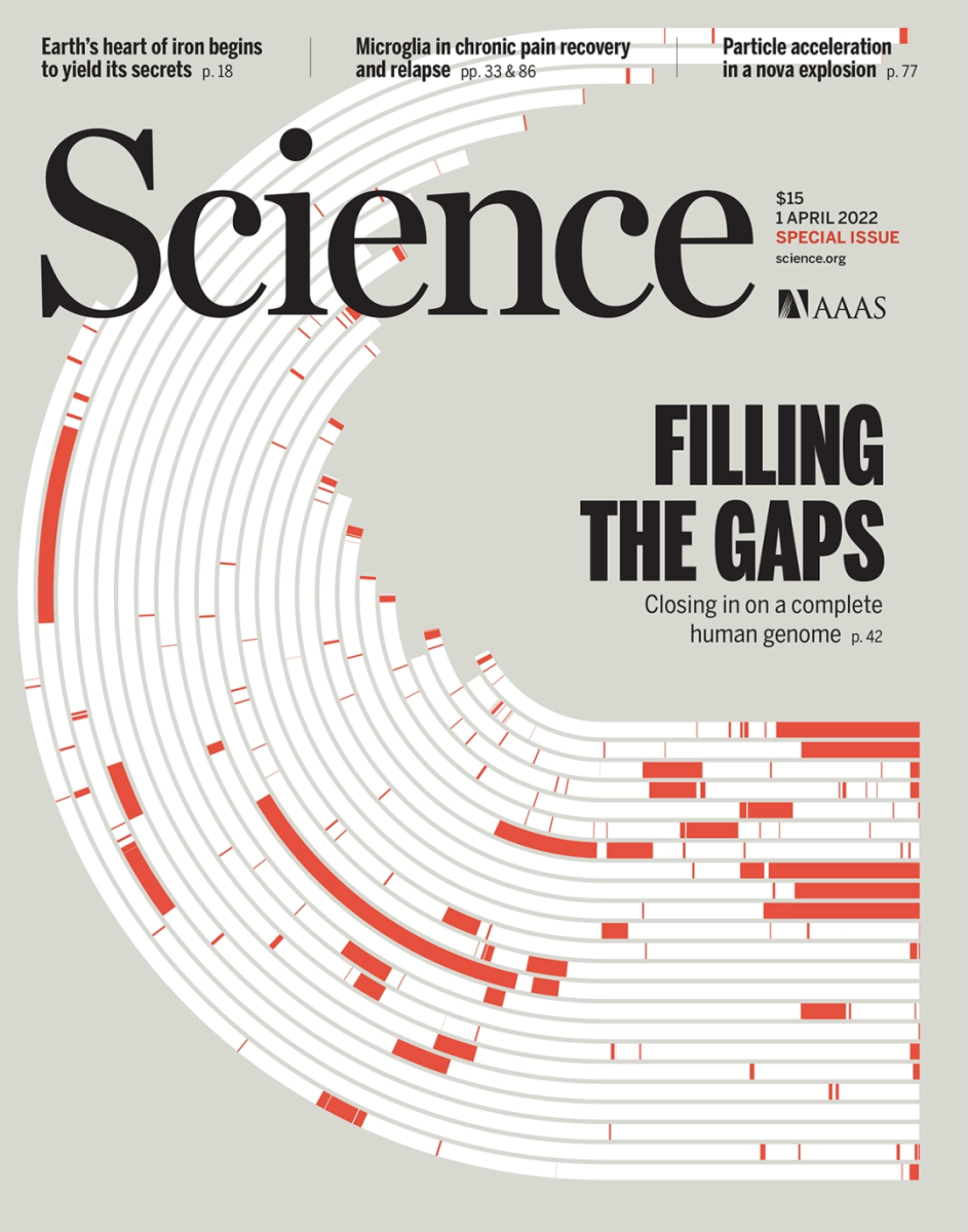 Science 封面文章：人类基因组完成图｜Science 杂志