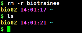 删除了上一步创建的biotrainee文件夹