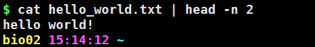 cat打开文件hello_world.txt,使用 | 符号将打开的文件内容传递给 head命令，-n 2 参数查看前两行（刚才新建的文件只有一行，故只显示出一行）