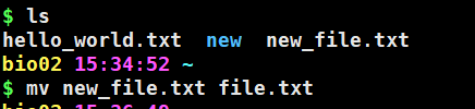 new_file.txt  重命名为