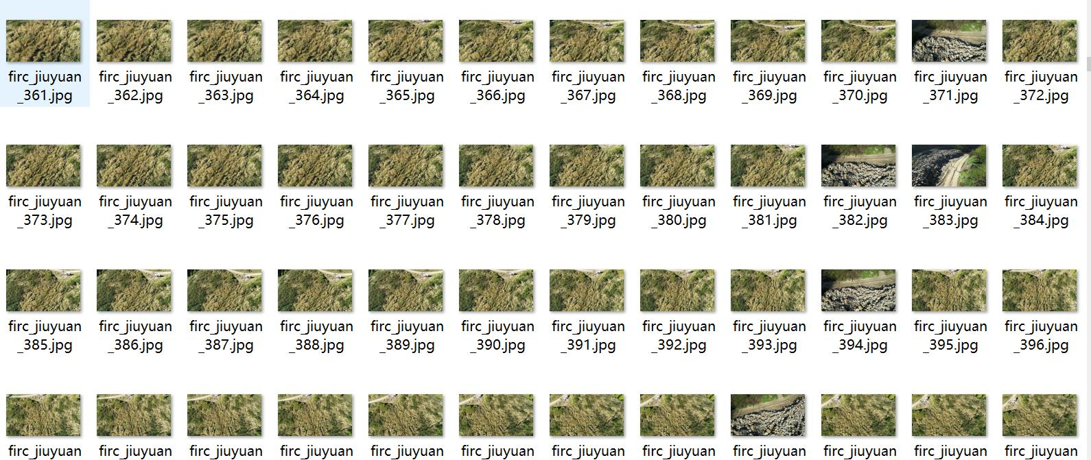 无人机视角搜索和救援山林失踪被困人员检测数据集VOC+YOLO格式1976张6类别