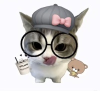 作者头像