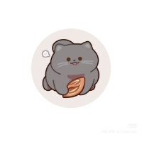 作者头像